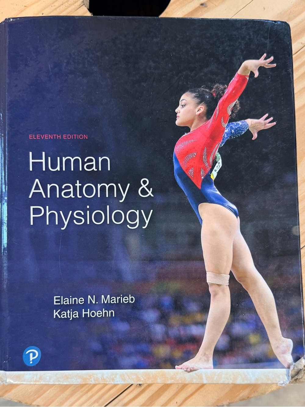 “Human Anatomy “